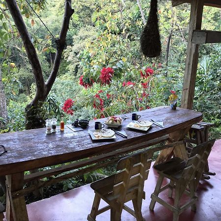 Finca San Rafael - Cafe Y Cacao มินกา ภายนอก รูปภาพ