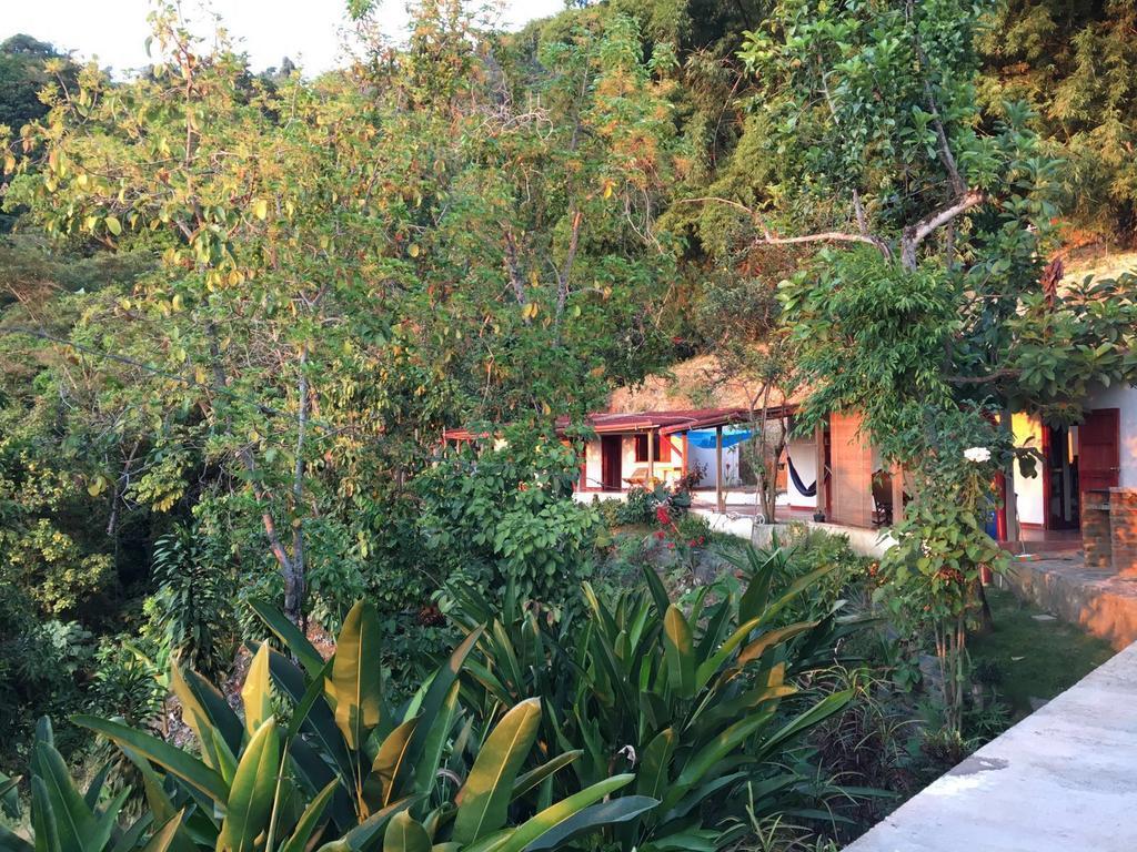 Finca San Rafael - Cafe Y Cacao มินกา ภายนอก รูปภาพ