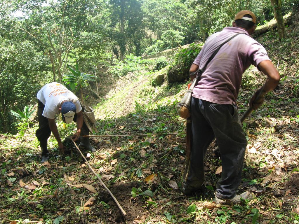 Finca San Rafael - Cafe Y Cacao มินกา ภายนอก รูปภาพ