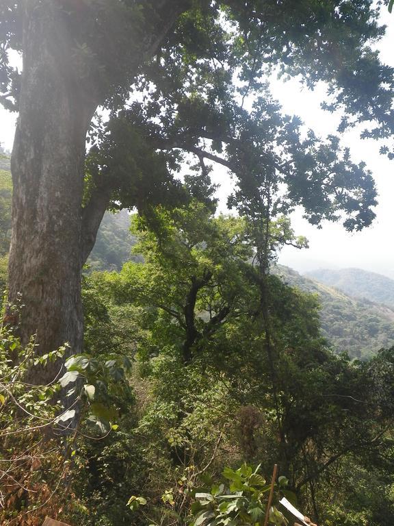 Finca San Rafael - Cafe Y Cacao มินกา ภายนอก รูปภาพ