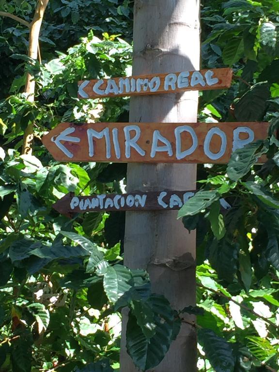 Finca San Rafael - Cafe Y Cacao มินกา ภายนอก รูปภาพ