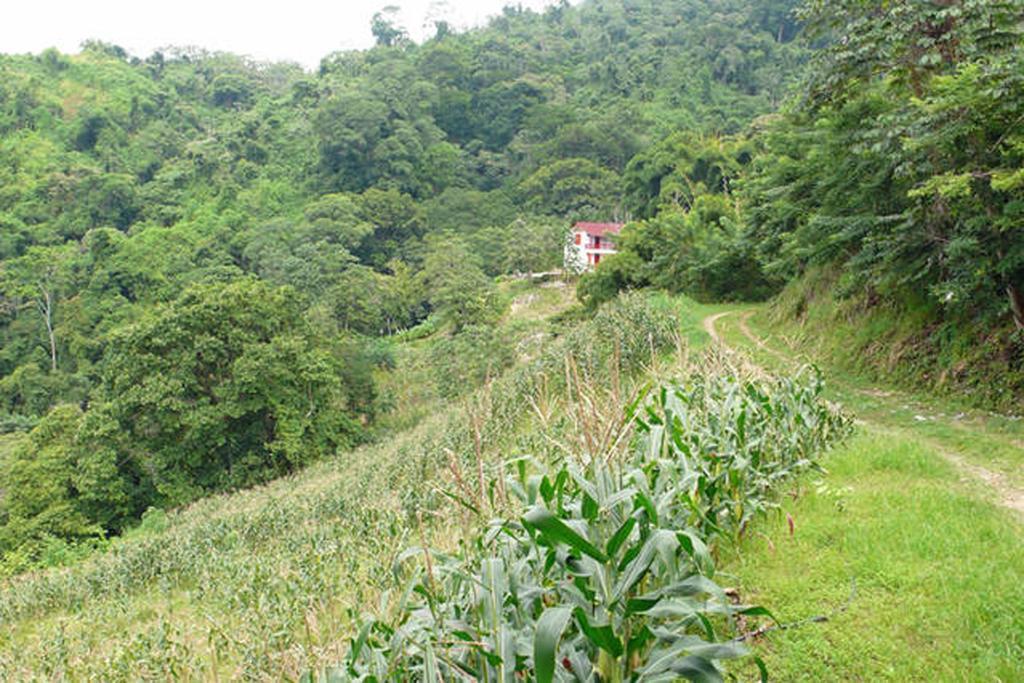Finca San Rafael - Cafe Y Cacao มินกา ภายนอก รูปภาพ