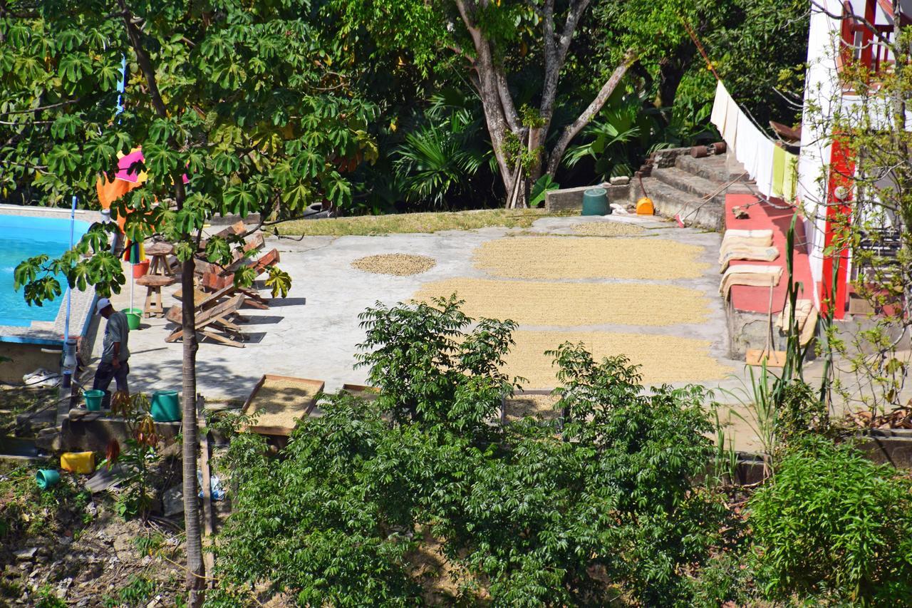 Finca San Rafael - Cafe Y Cacao มินกา ภายนอก รูปภาพ