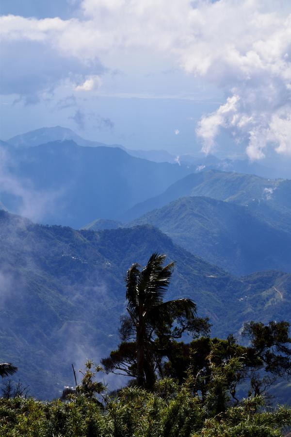 Finca San Rafael - Cafe Y Cacao มินกา ภายนอก รูปภาพ